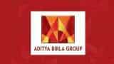 Aditya Birla Group to invest USD 50 million in manufacturing, R&D center in Texas 