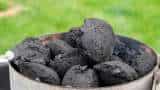 Centre to set up green coal plants in Gurugram, Faridabad Centre to set up green coal plants in Gurugram, Faridabad