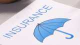 What is no-cost term insurance? Is it a better offering than plain term plan
