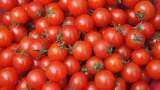Tomatoes Price Hike: Retail prices in Delhi surge to Rs 70-80 per kg 