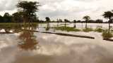 Assam floods affect 24 lakh people across 29 districts