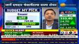 Why did Rajesh Palvia of Axis Securities advise to invest in Emami Ltd today?