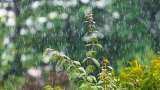 Continuous rains flood Udupi, disrupt life