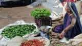 Food inflation will moderate soon, higher inflation may delay rate cut: Experts on June inflation