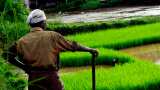 Kharif sown area improves by 10.3 per cent in 2024 sowing season