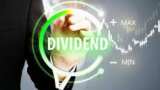 LIC Dividend 2024: Insurance giant to pay Rs 6/share dividend on this date; check details here