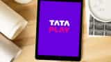 Tata Play's revenue dips 4.3% to Rs 4,304.6 crore in FY24, loss widens to Rs 353.9 crore 