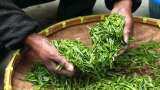 Tea industry seeks higher RoDTEP rates to make exports competitive