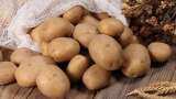 Potato dispatches from cold storages surge by 35% day after traders withdraw strike