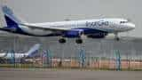 IndiGo Q1 FY25 Results: InterGlobe Aviation net profit jumps 44% to Rs 2,729 crore, beats Street estimates