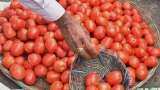 Tomato Sale at Rs 60/kg: After Delhi, this city gets kitchen staple at subsidised rates 