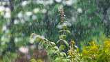 Delhi Weather Update: City&#039;s maximum temperature settles at 34.7 degrees Celsius, light rain likely on Sunday