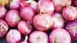 India's onion exports touch 2.6 lakh tons mark in April-July