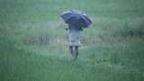 Weather Update: Rajasthan&#039;s Hindoli records 220 mm rainfall in 24 hours, clear skies predicted from August 17-22