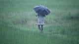 Weather Update: Rajasthan's Hindoli records 220 mm rainfall in 24 hours, clear skies predicted from August 17-22 Weather Update: Rajasthan's Hindoli records 220 mm rainfall in 24 hours, clear skies predicted from August 17-22
