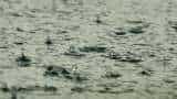 Rain continues to lash parts of Rajasthan, Alwar town receives highest downpour Rain continues to lash parts of Rajasthan, Alwar town receives highest downpour