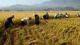 Centre orders insurance firm to pay Rs 225 crore to Maharashtra farmers in a week