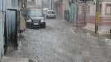 Vishwamitri river crosses danger mark in Vadodara, 3,000 people moved to safer places Vishwamitri river crosses danger mark in Vadodara, 3,000 people moved to safer places