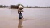 Gujarat rain update: Heavy rains continue in parts of Gujarat; IMD issues red alert