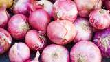 Govt&#039;s subsidised onion sale brings relief, prices drop in major cities 