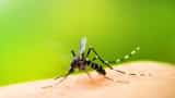 Delhi reports 300 more dengue cases in a week; malaria, chikungunya cases on rise too