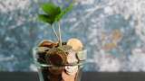 SIP vs SSY vs EPF: Comprehensive comparison of Rs 12,000 monthly investment returns, benefits and tax savings