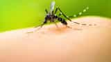 Dengue cases surge in Delhi, over 400 new infections recorded in a week