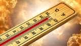 Delhi Weather Update: City's maximum temperature settles at 36.5 degree Celsius