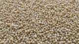 Guar seed futures reduce amid ample supplies