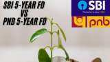 SBI 5-year FD vs PNB 5-year FD: What will general and senior citizens get on Rs 8 lakh investment?