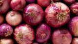 Government steps up onion supplies via rail transport to control prices; 840 tonne reaches Delhi