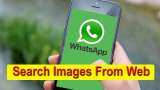 WhatsApp introduces ‘search images from web’ feature: Here&#039;s how to use it and all you need to know 