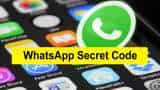 WhatsApp Secret Code makes chat secure: Here's how to use this feature - Check details 