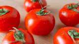 Retail tomato prices drop 22% on improved supplies 