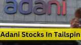 Adani investors shattered: 11 group stocks plunge; Adani Enterprises falls up to 23%