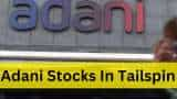 Adani investors shattered: 11 group stocks plunge; Adani Enterprises falls up to 23%