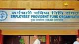 EPF Calculator: How Much Will a Rs 20,000 Salary Grow by Retirement?