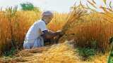 Wholesale inflation eases to 1.89% in November from 2.36% in previous month 