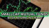 Top Smallcap MFs by SIP Returns: Rs 1,000 monthly investment in these schemes has built Rs 1.4-1.7 lakh corpus in 5 years Top Smallcap MFs by SIP Returns: Rs 1,000 monthly investment in these schemes has built Rs 1.4-1.7 lakh corpus in 5 years