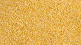 Government extends duty-free import of yellow peas till February 2025 