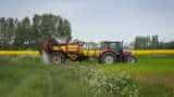 Foodgrain output set to scale new peak in 2025 as farm sector eyes 4% growth