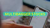 Multibagger Stocks of 2024: More than a dozen scrips grew investors' money by 2x or 3x Multibagger Stocks of 2024: More than a dozen scrips grew investors' money by 2x or 3x