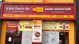 PNB New FD Rates: Punjab National Bank launches 2 new fixed deposit tenures; check out details