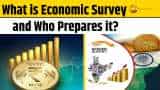 Union Budget 2025: Why Economic Survey matters? When is it presented? Union Budget 2025: Why Economic Survey matters? When is it presented?