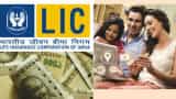 Want to revive your LIC policy? Here are steps you can take if you haven't paid policy premiums for up to 5 years Want to revive your LIC policy? Here are steps you can take if you haven't paid policy premiums for up to 5 years