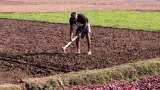 Farm workers, drivers largest growing jobs; cashiers, ticket clerks most declining: Study Farm workers, drivers largest growing jobs; cashiers, ticket clerks most declining: Study