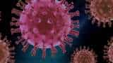 WHO shares details of HMP Virus in North America, notes rate of infection increase follows usual trends