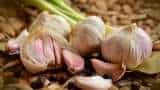 Minister Piyush Goyal assures garlic traders to look into alleged illegal imports issue