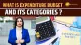 Union Budget 2025 : Understanding the Expenditure Budget and Categories