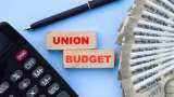 Budget 2025-26 needs to focus on capex, infrastructure spending: RBI MPC member Nagesh Kumar